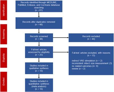 The protective effect of vagus nerve stimulation against myocardial ischemia/reperfusion injury: pooled review from preclinical studies